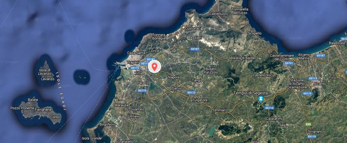 I nostri oliveti